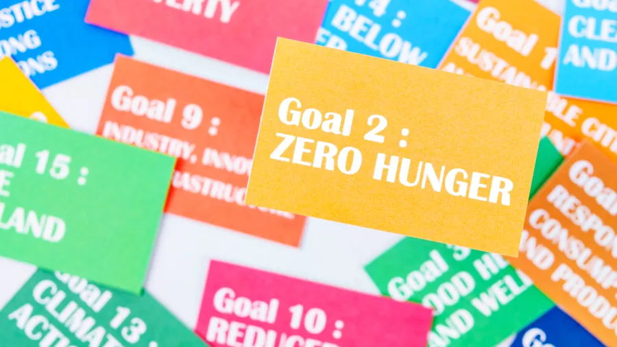 sdg