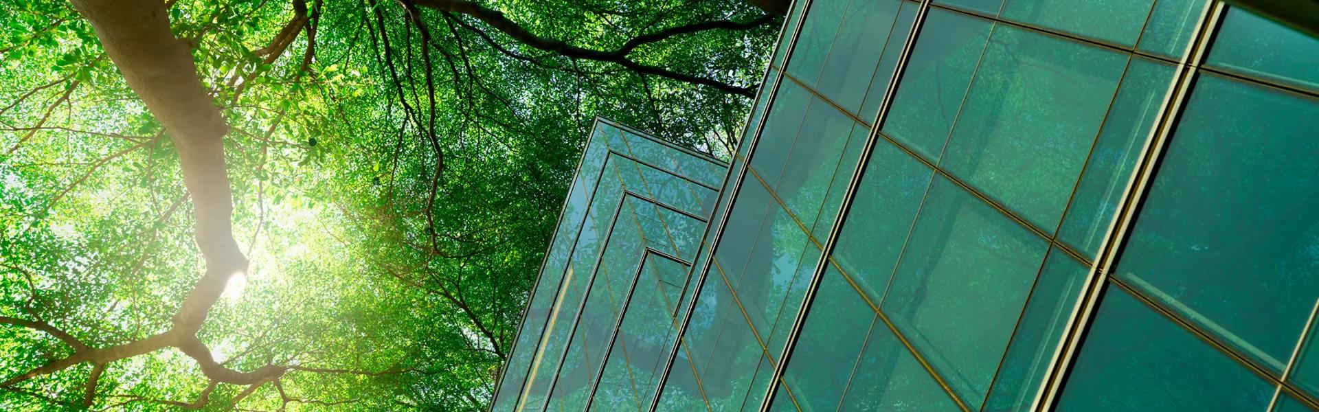 sustainable building