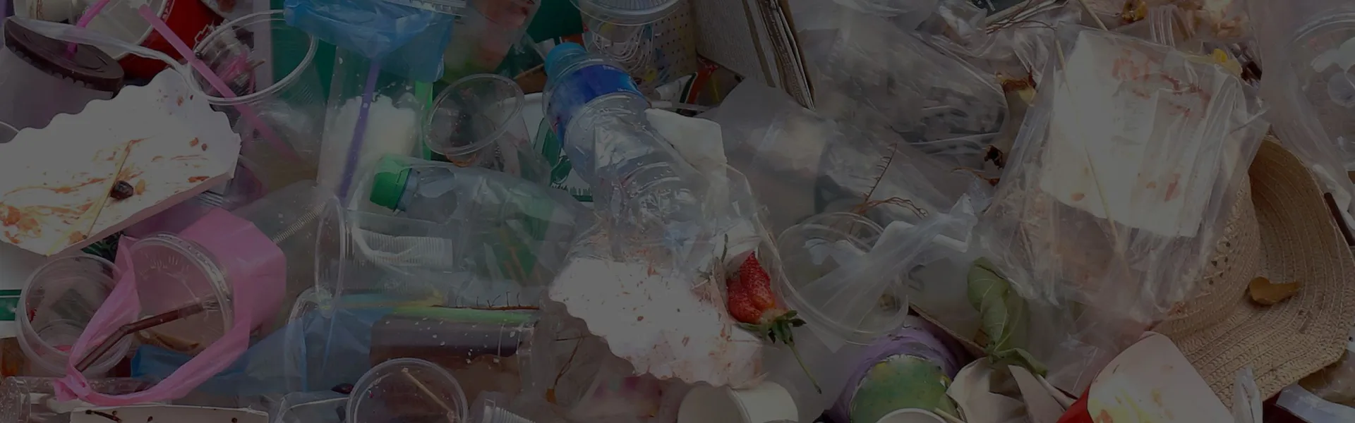 What We Do: Waste