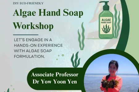 Algae Hand Soap Workshop