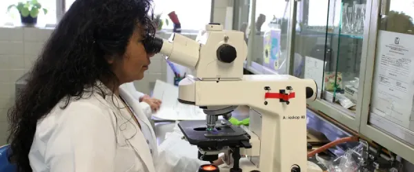 Research Centre for Human-Machine Collaboration (HUMAC)