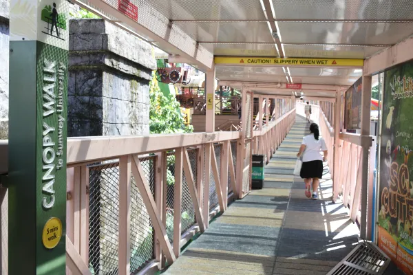 Pedestrian Priority