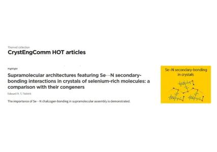 RCCM of the School of Medical and Life Sciences Publishes First Article of 2023 in CrystEngComm