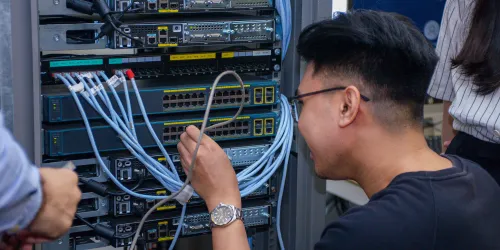 Bachelor of Science (Honours) in Information Technology