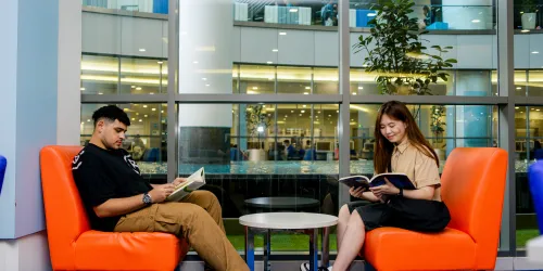Reading and Thinking Critically