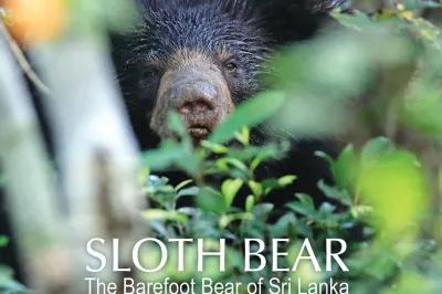 Bear Essentials of Biodiversity: From Passion to Empowerment