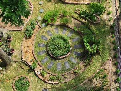 Water-conscious Planting
