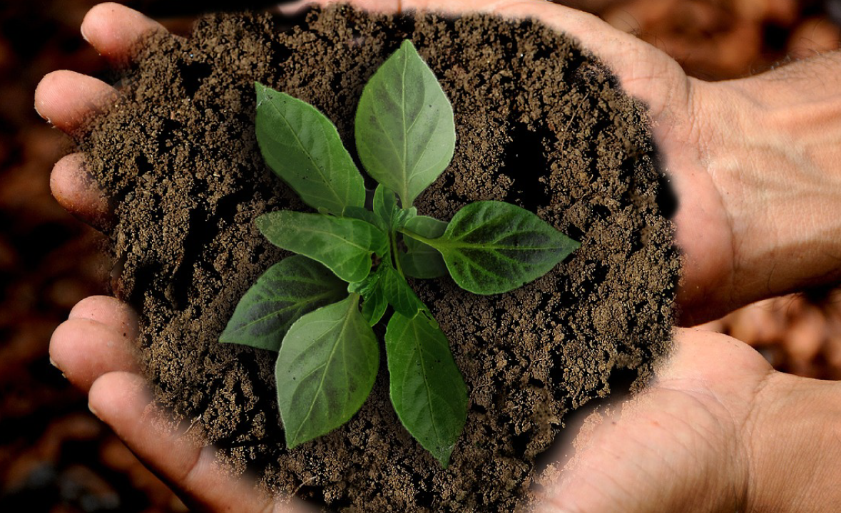 Cross-cutting Principles for Planetary Health Education