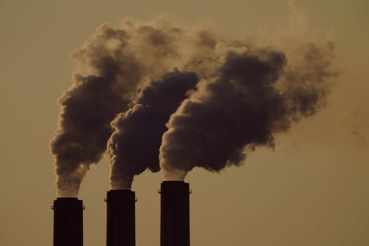 Humanity Needs to Come Together for the Planet's Health