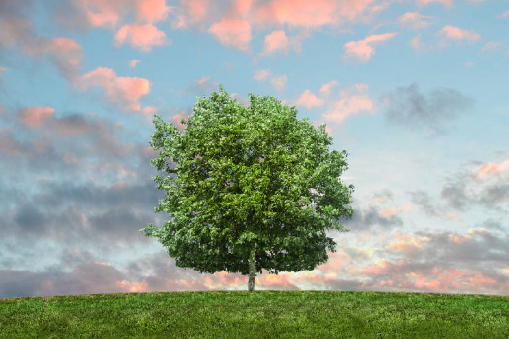 Sustainability in the Age of Disruption