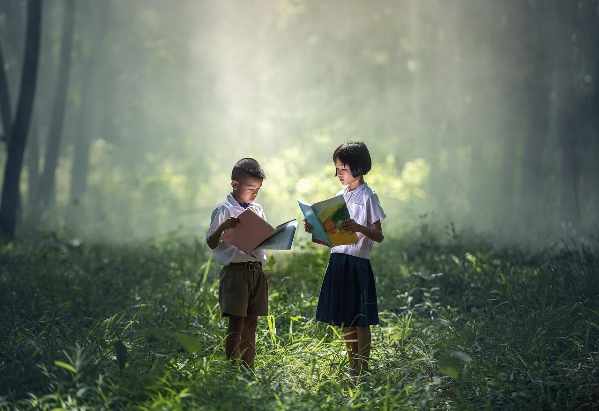 Sustainability education
