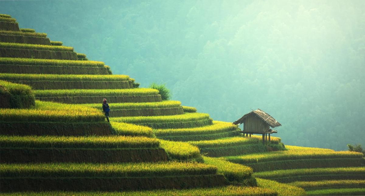 green manufacture